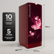 Godrej 185L 4 Star Single Door Refrigerator with 24 Days Farm Freshness, Jumbo Vegetable Tray, Dry Storage Drawer, Advanced Inverter Technology & 5 Years Warranty (RD 195DN TDI MY WN, Mystic Wine)