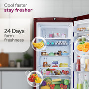 Godrej 185L 4 Star Single Door Refrigerator with 24 Days Farm Freshness, Jumbo Vegetable Tray, Dry Storage Drawer, Advanced Inverter Technology & 5 Years Warranty (RD 195DN TDI MY WN, Mystic Wine)