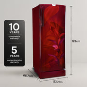 Godrej 185 L Direct Cool Single Door 5 Star Refrigerator with 22L Jumbo Vegetable Tray Advanced Inverter Technology...